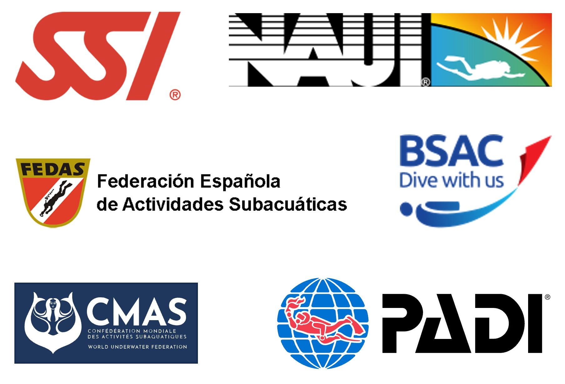 Agencias Logos de las distintas agencias de buceo