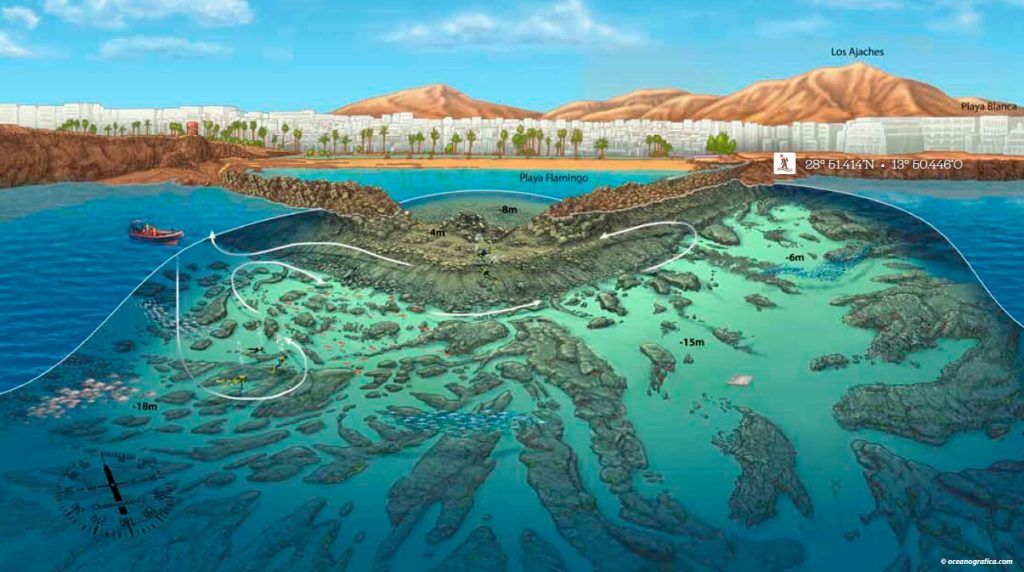 Flamingo Mapa de un punto de buceo en Lanzarote