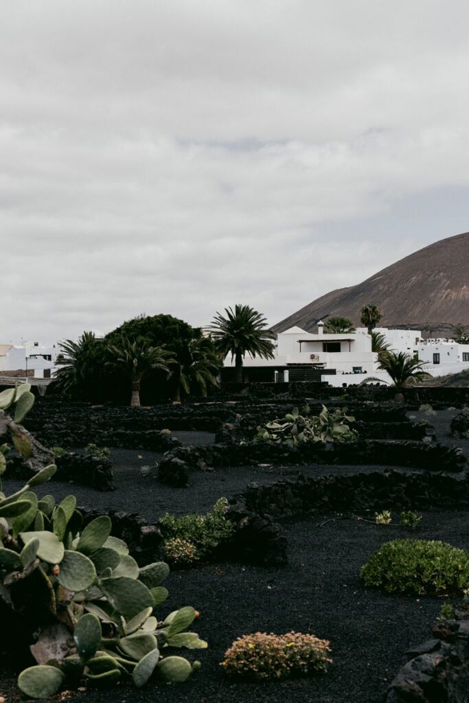 Picturesque village in Lanzarote with volcanic landscape and lush plants under a cloudy sky.