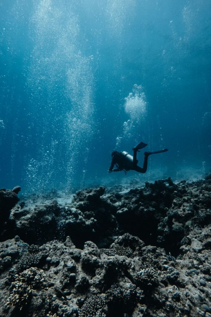 Buceador explorando los fondos marinos durante un viaje de buceo de House Reef